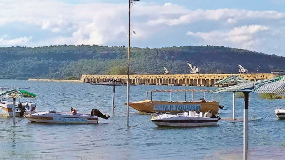 naidunia_image